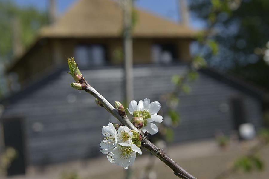 De Steltenberg In De Betuwe Zoelen Esterno foto