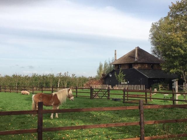 De Steltenberg In De Betuwe Zoelen Esterno foto